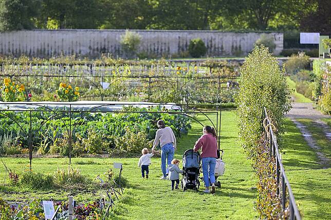 Affiche officielle des Saveurs du Potager du Roi 2026