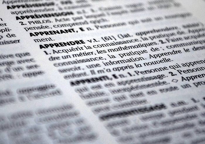 Français Langue Étrangère (FLE) - Développer son vocabulaire