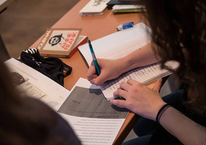 Français Langue Étrangère (FLE) - Histoire et littérature françaises