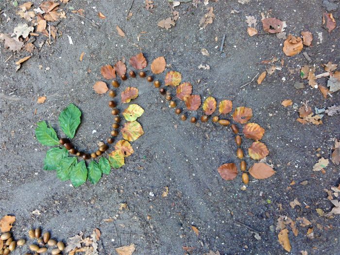 Balade créative en forêt